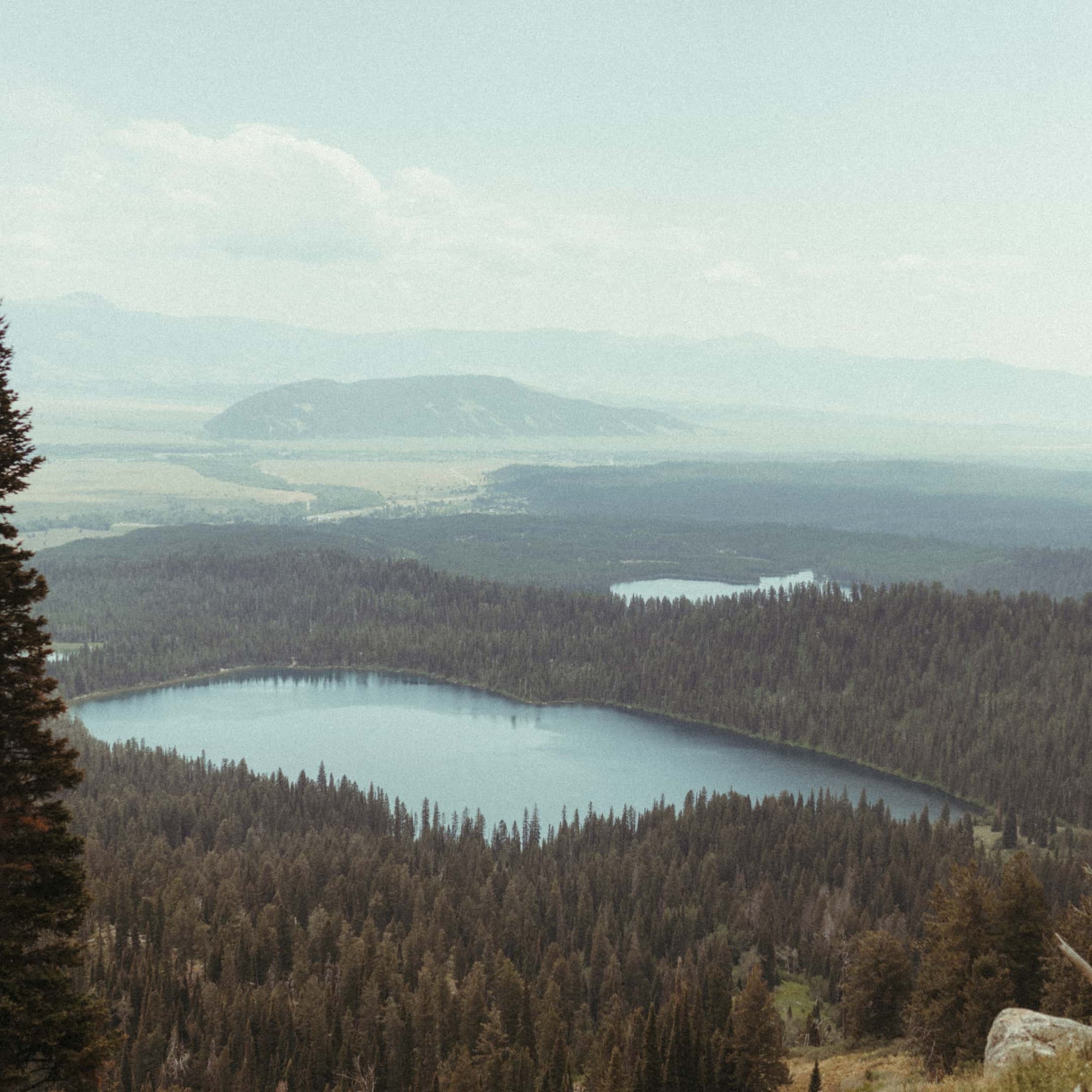 Scenic image of trees and a lake in Wyoming