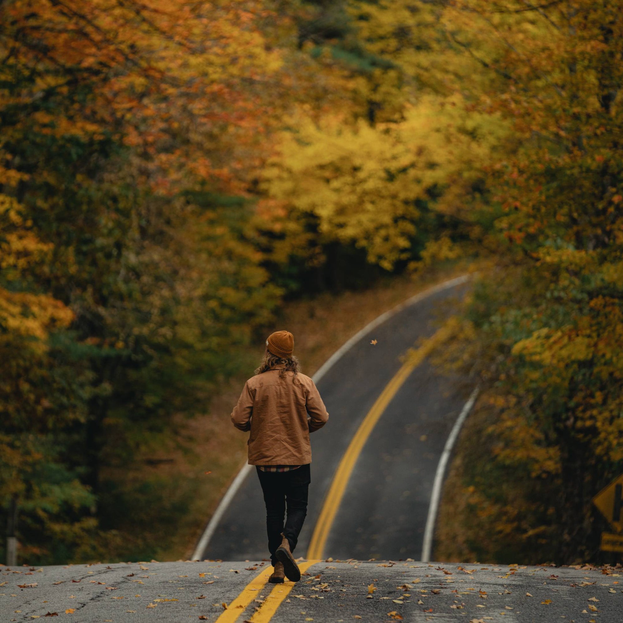 Brayden walks down a road lined with trees covered in Autumn leaves