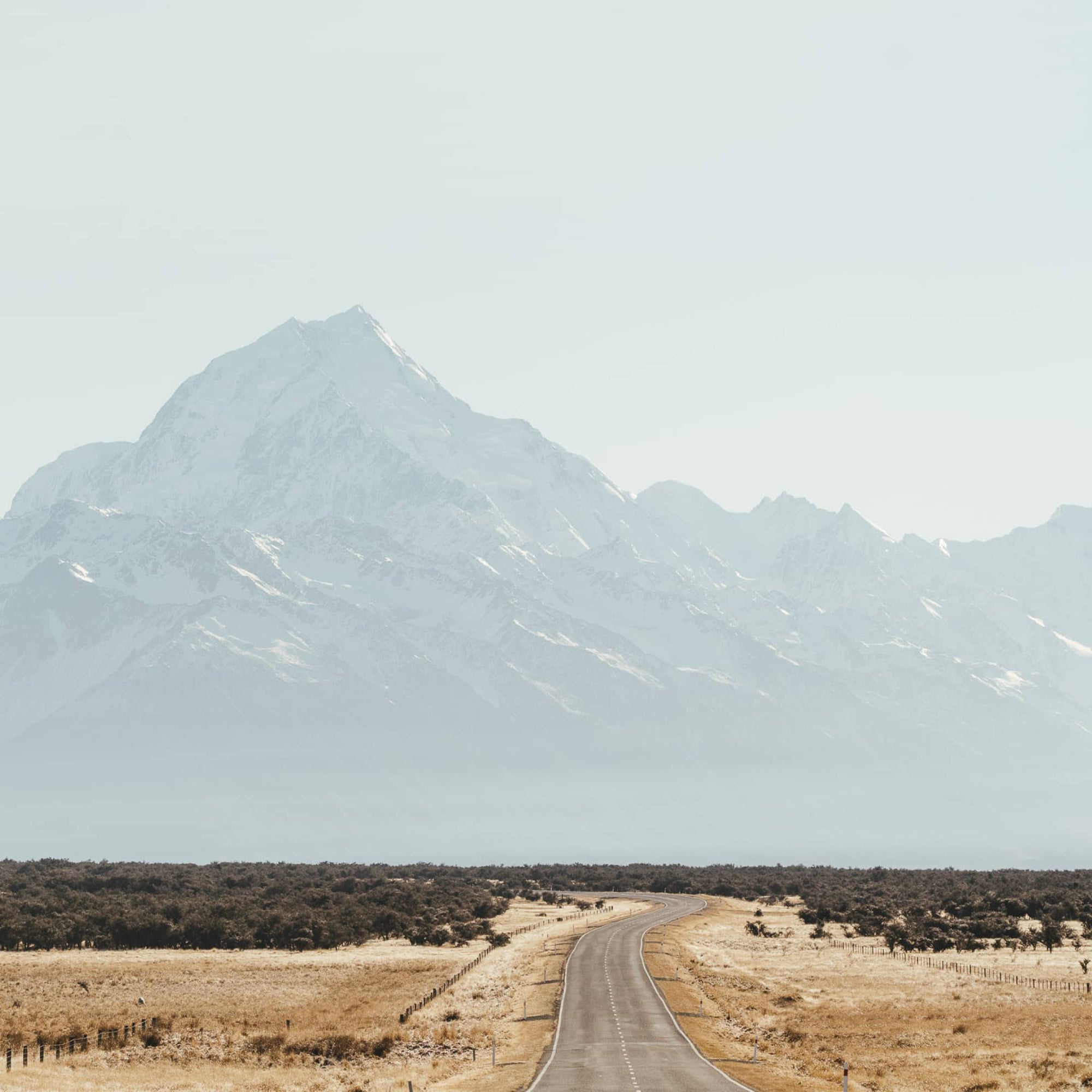 A field in the middle of the Hooker Valley in New Zealand