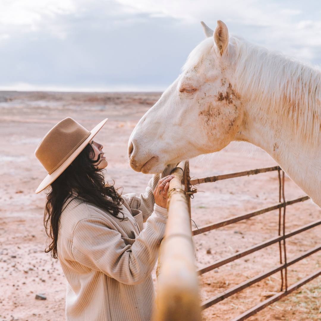 Blanca standing up at a fence and looking face to face with a white horse in the Utah desert