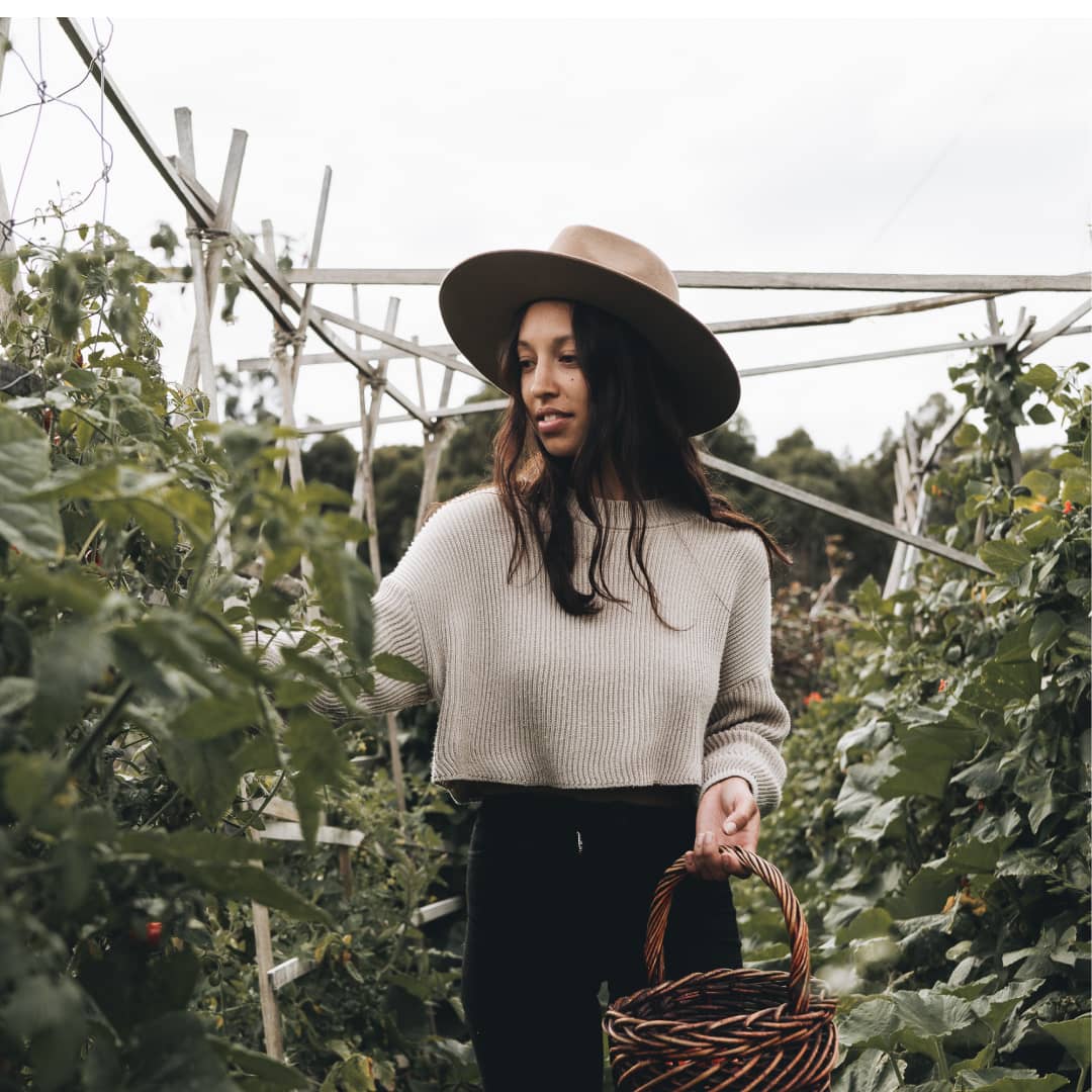 A woman picking fresh tomatoes from a vineyard