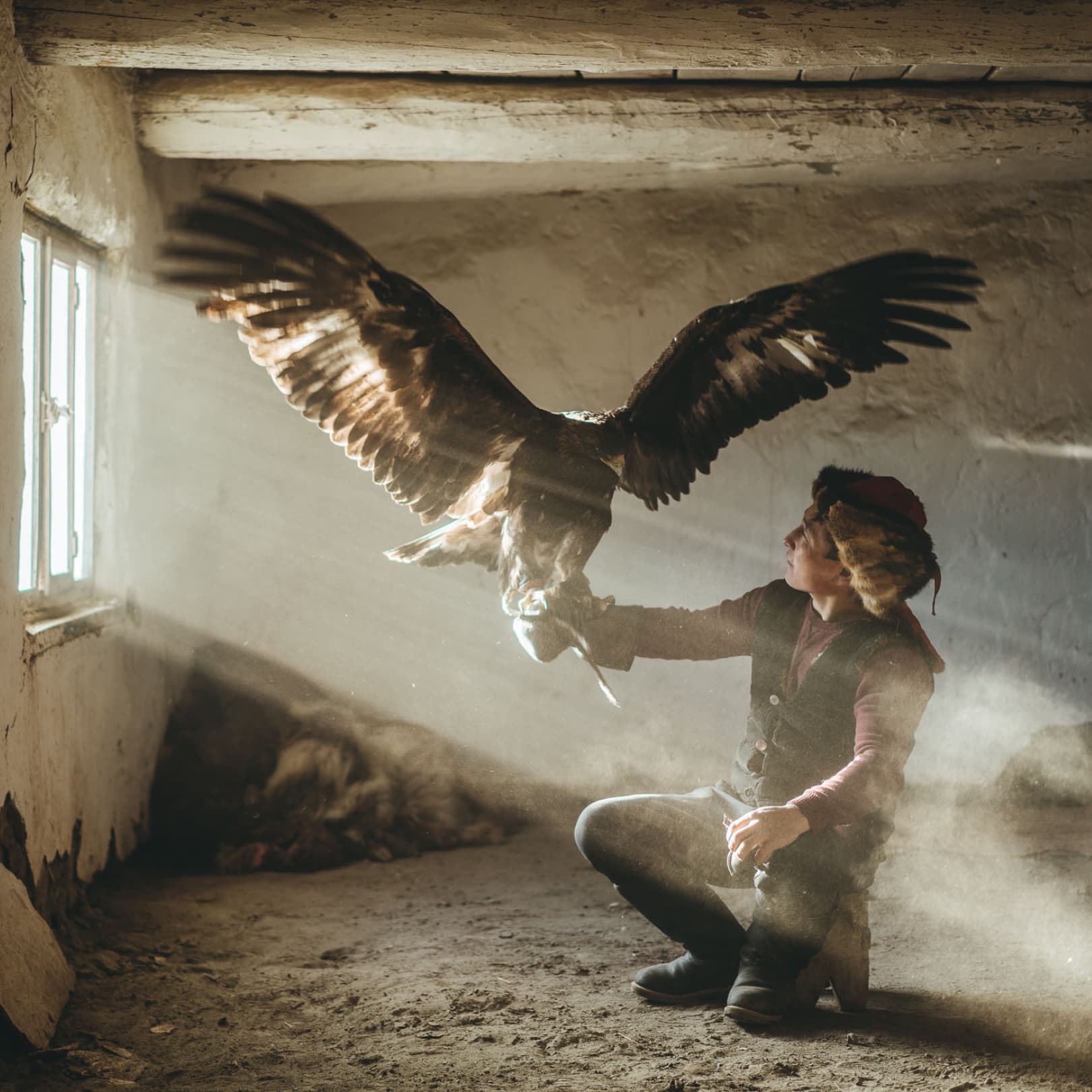 A Mongolian man holding a large eagle on his hand