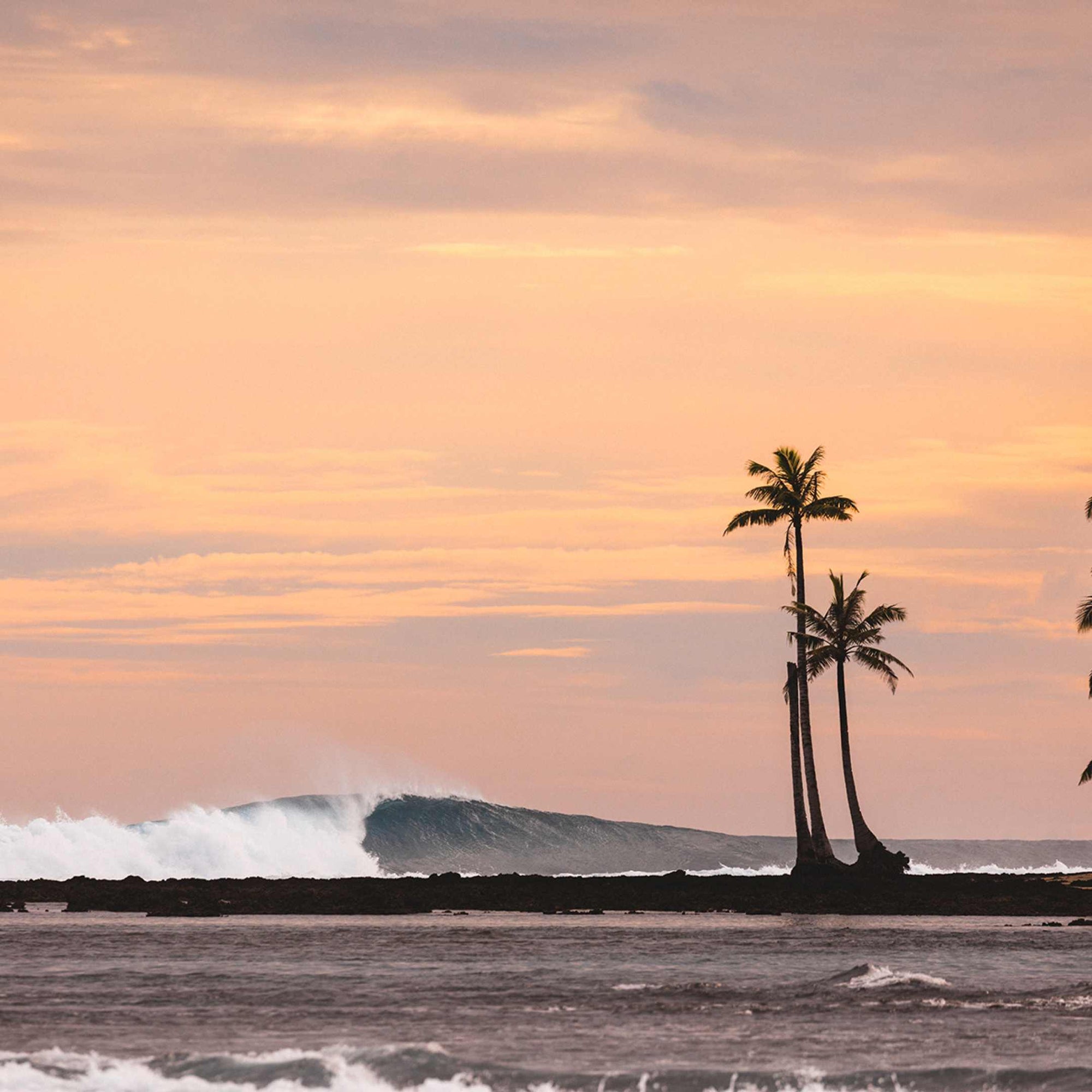 A wave breaking at sunset with some palm trees silhouetted in the foreground