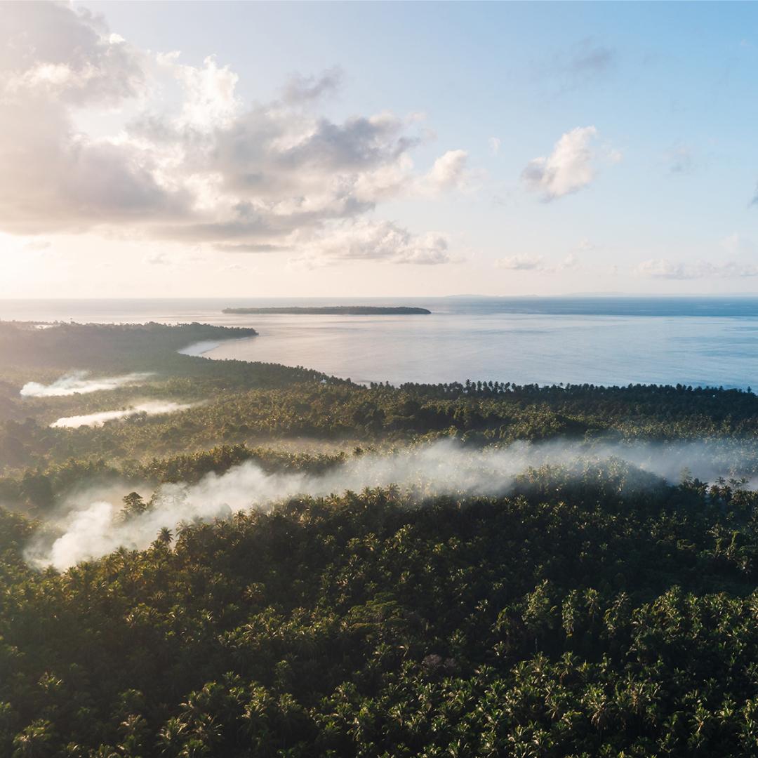 Aerial shot of palm trees across an Indonesian island with some mist through the trees