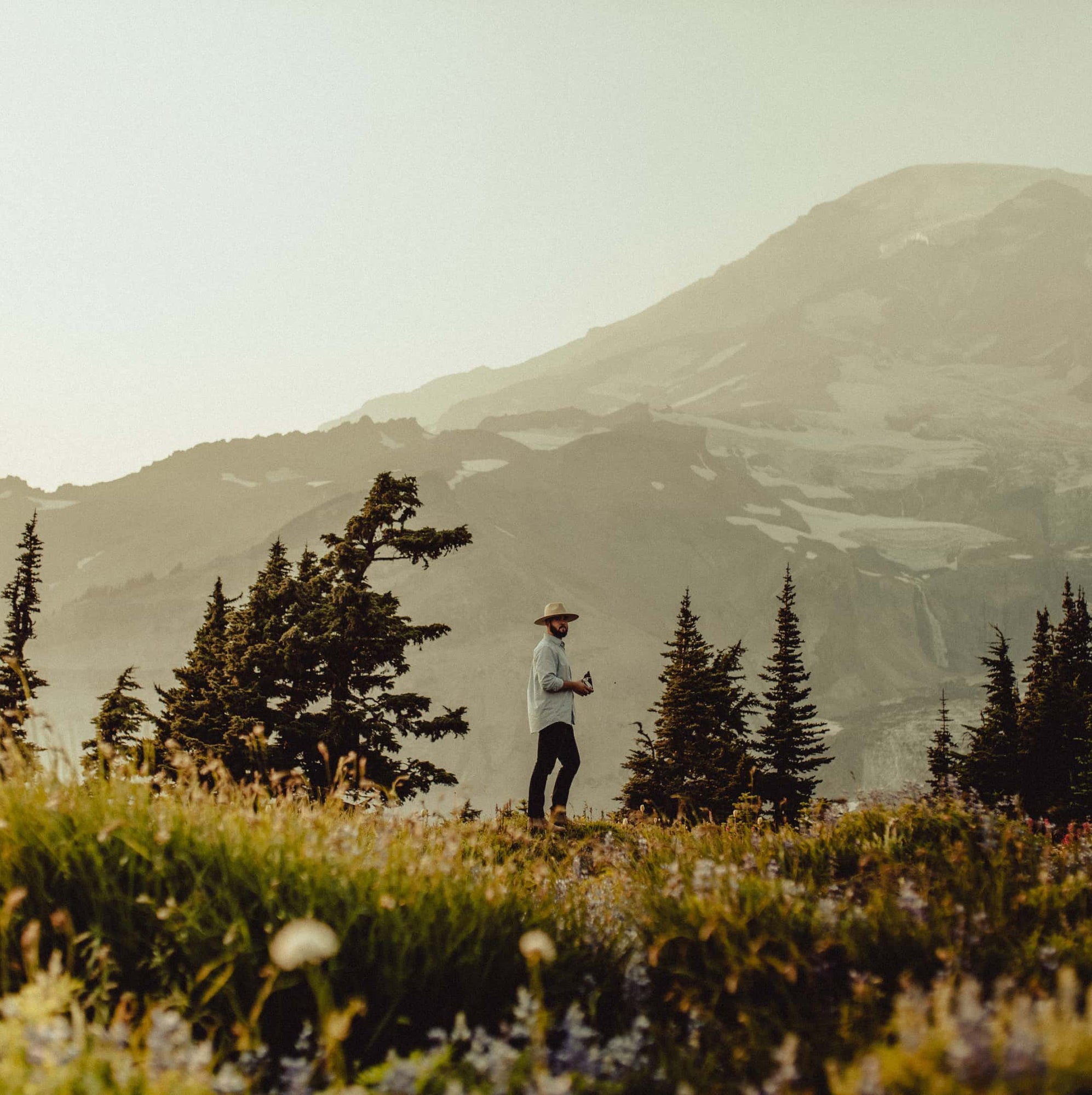 Drake walking through the flowers in the National Park