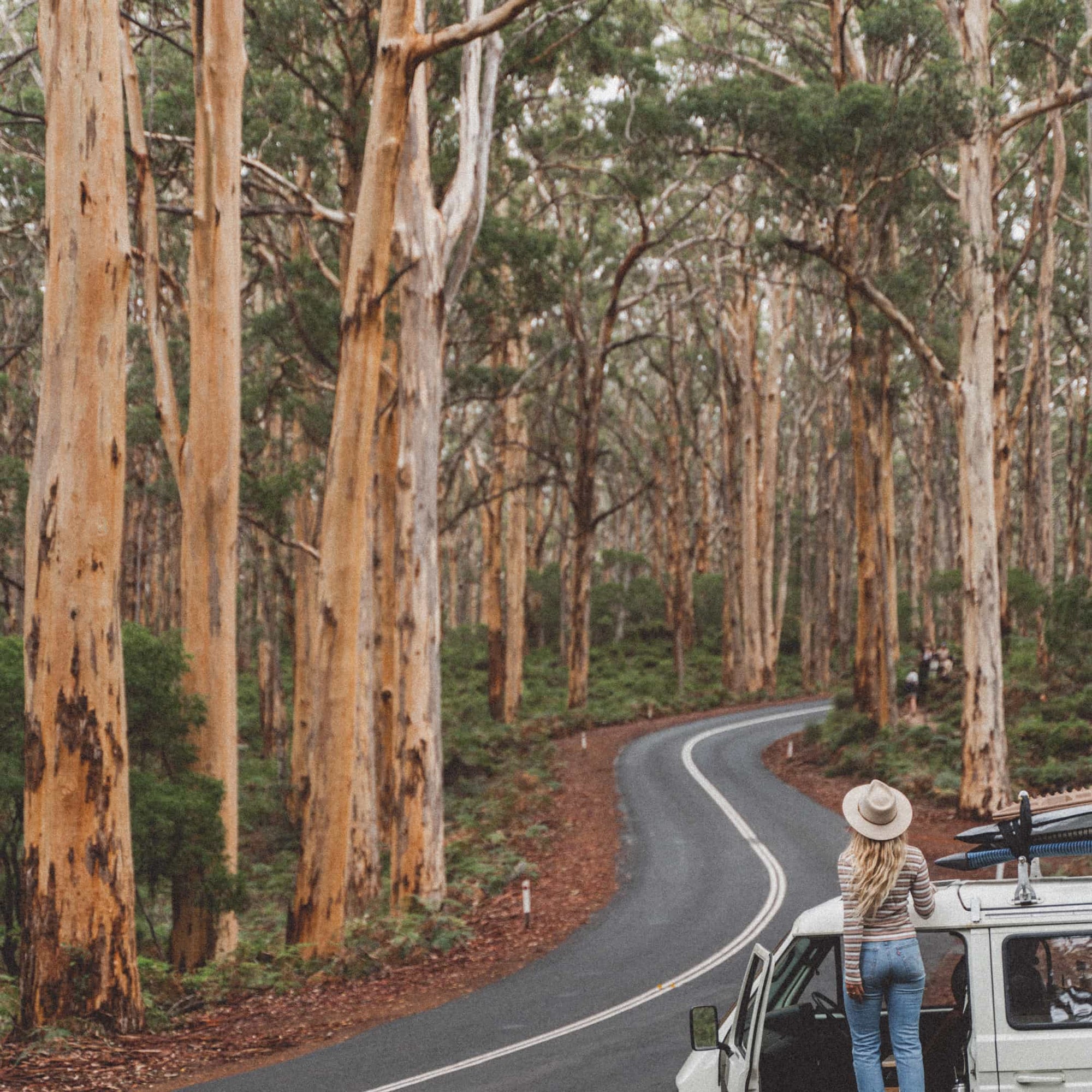 Kendall stands on the side of her parked VW van looking ahead at the road curving between gum trees