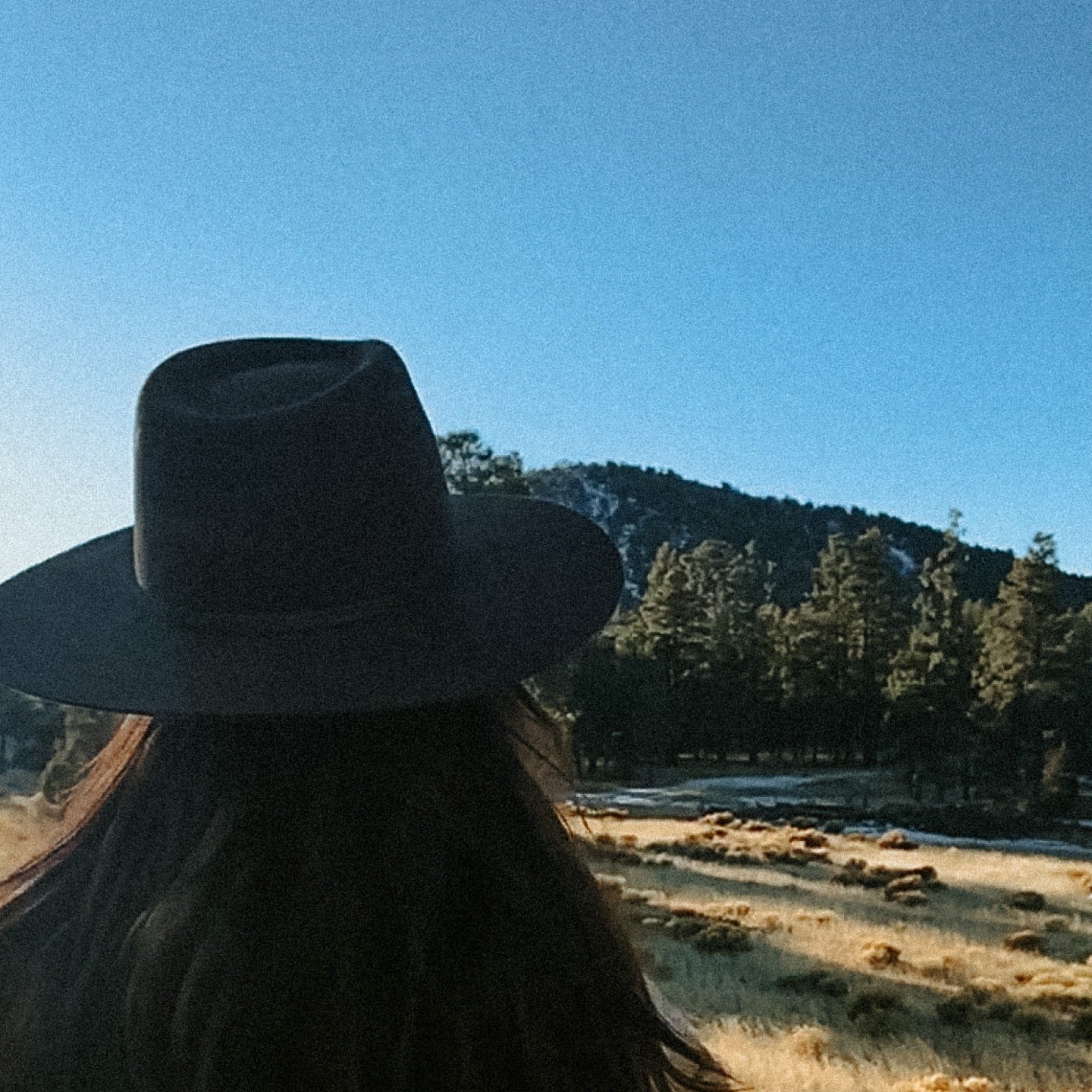 Close up photo of the back of Stevie's head as she looks towards a tree covered mountain in the distance