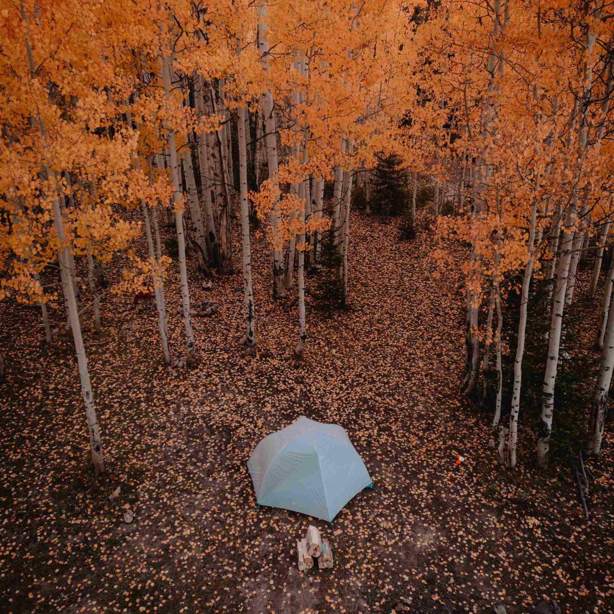Aerial photo of a tent in the middle of a forest with autuman leaves falling
