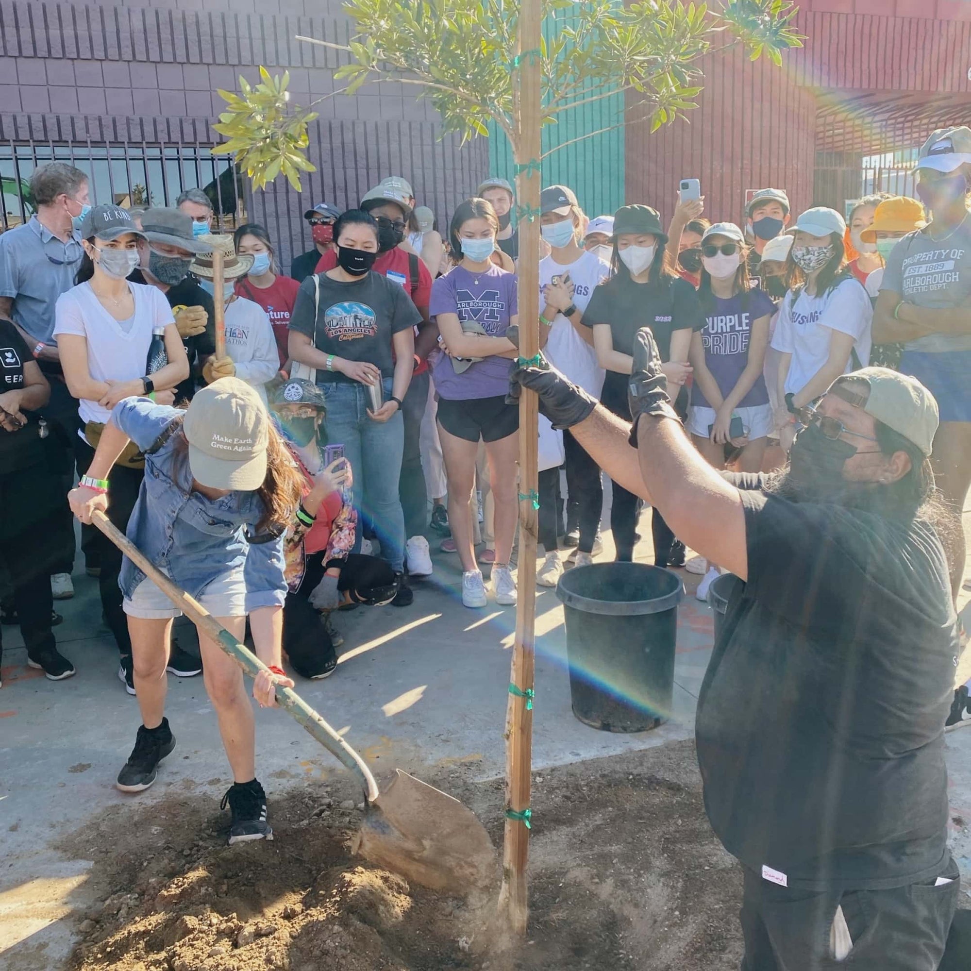 A group of people planting trees next to a side-walk in LA