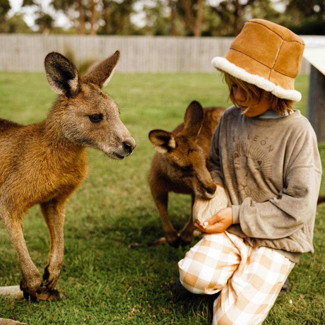 A young boy is wearing an ugg bucket hat and feeding wallabies